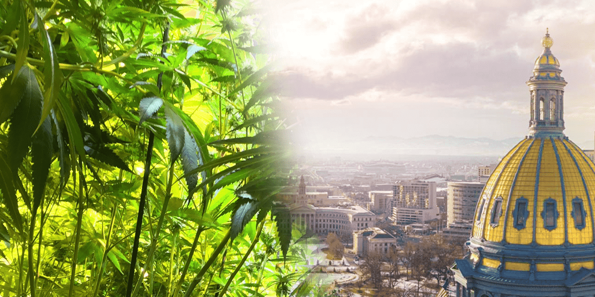 Starting Your Cannabis Career in Colorado