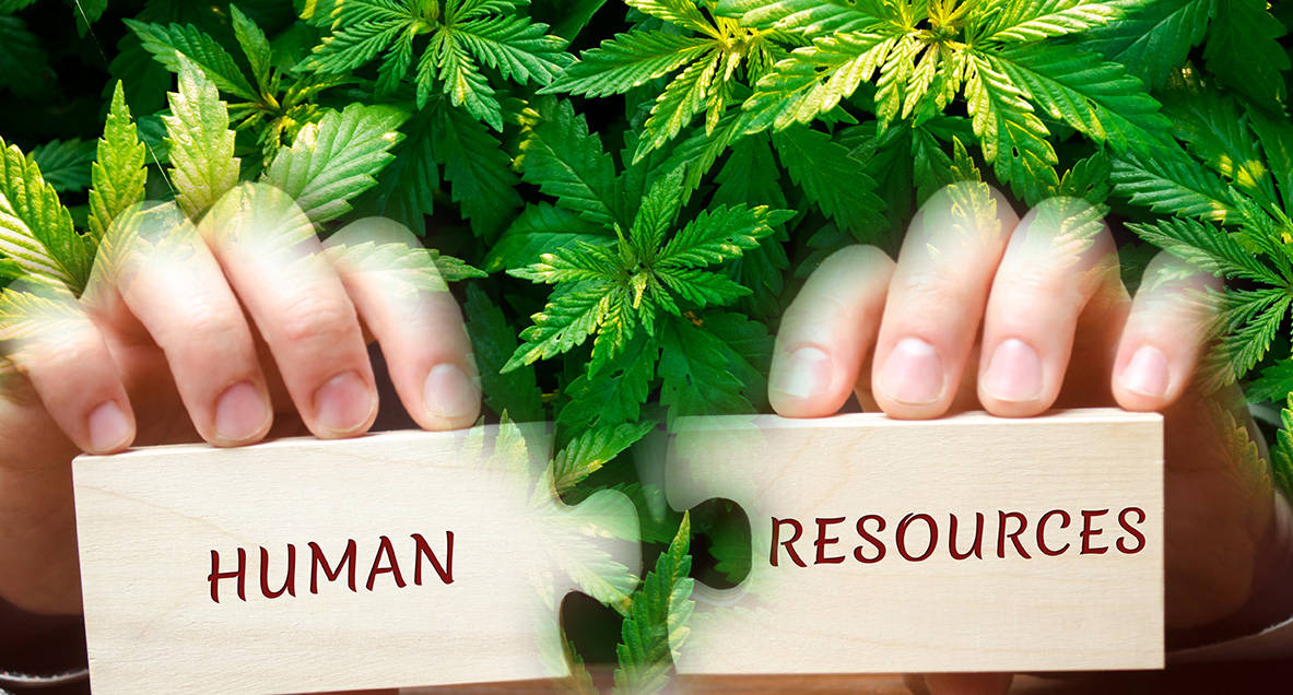 Boosting Business Efficiency: The Advantages of Outsourcing HR in the Cannabis Sector
