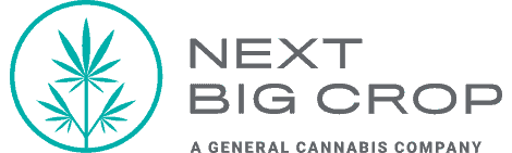 Next Big Crop Logo 280x@2x