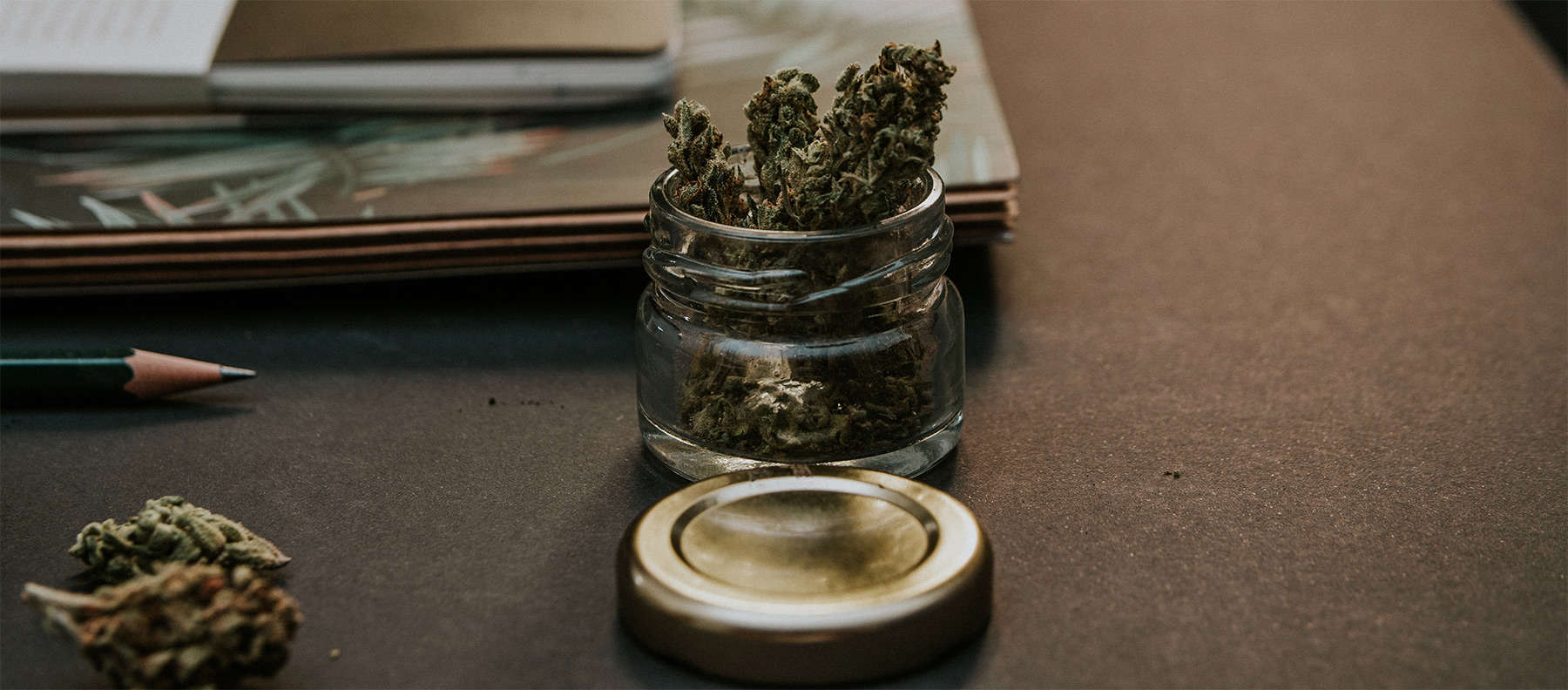 news-cannabis-growth-cannabis-jobs-weed-jobs-hemp-temps